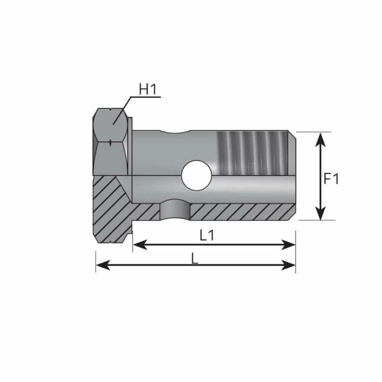 hydraulicplanet Cross-sectional technical drawing of the BSPP BANJO BOLT mechanical component, showing BSPP threads and labelled dimensions H1, F1, L1, and L.