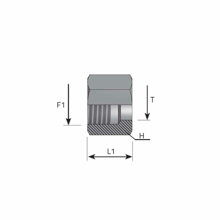 hydraulicplanet Technical drawing of NUT METRIC 3870, showing front and cross-sectional views with metric dimensions F1, T, H, L1 labelled; includes detailed nut specifications.