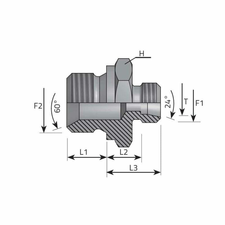 hydraulicplanet Technical diagram of the DIN MALE STUD COUPLING SV 60° - BSPP MALE (LIGHT), displaying threaded sections, labelled dimensions (L1, L2, L3, T, H), and angles SV 60° and 24°.