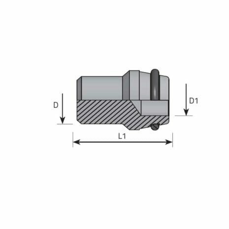 hydraulicplanet Technical drawing of the DIN 24° BLANKING PLUG, cylindrical with cross-section view, labelled dimensions D, D1, and L1, and featuring an O-ring detail on the right side.