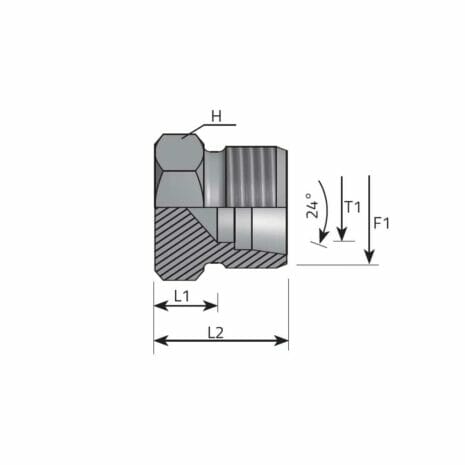 DIN 24° PIPE PLUG hydraulicplanet Technical drawing of the DIN 24° PIPE PLUG shows labelled dimensions, external threading, a cross-sectional view, and highlights the 24° angle specific to the fitting.