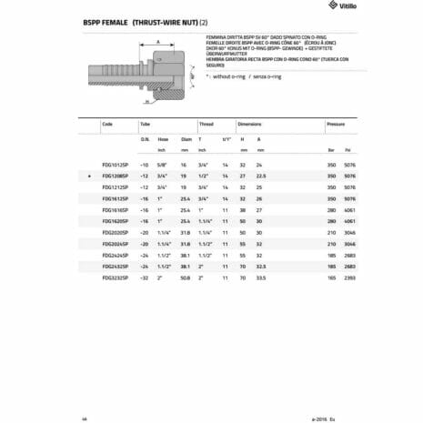 BSPP FEMALE (THRUST WIRE NUT)-3 hydraulicplanet Technical diagram of BSPP FEMALE (THRUST WIRE NUT) fitting with a table showing model codes, sizes, dimensions, and pressure ratings.