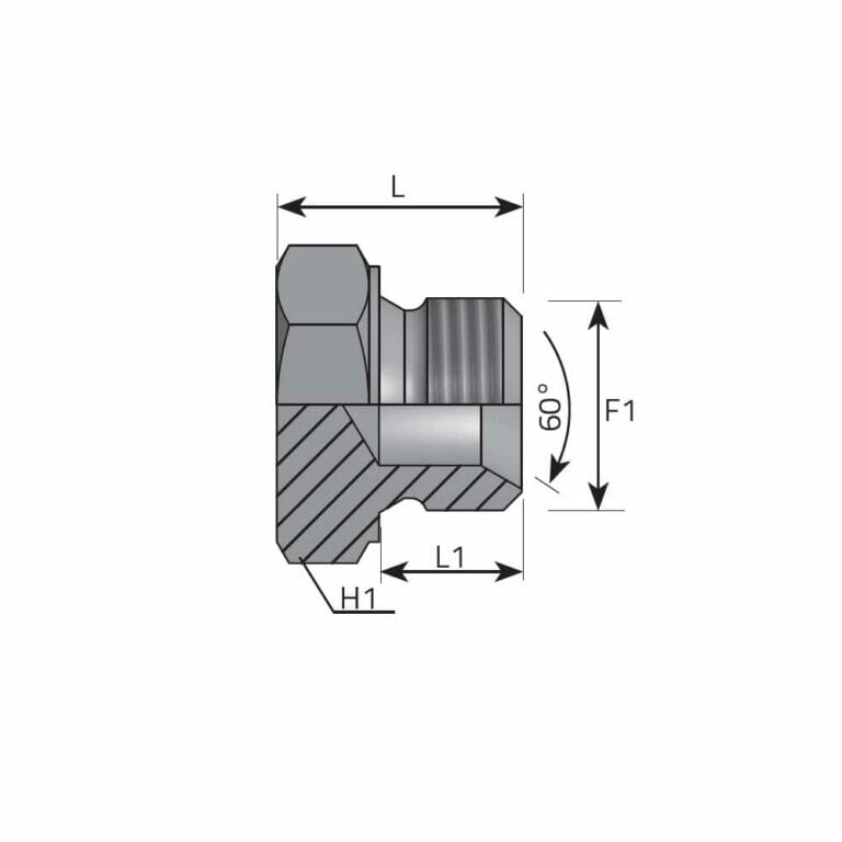 hydraulicplanet Technical drawing of a MALE PLUG BSPP fitting in cross-section, displaying labelled dimensions L, L1, H1, F1, and a marked 60° angle.