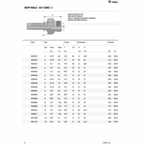 BSPP MALE - 60° CONE-2 hydraulicplanet Technical specification sheet for BSPP MALE - 60° CONE, featuring a diagram and table with size, dimensions, and pressure ratings for various models.