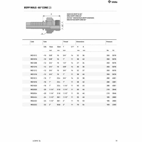 BSPP MALE - 60° CONE-3 hydraulicplanet Technical diagram of the BSPP MALE - 60° CONE fitting, featuring a detailed table with hose sizes, thread types, dimensions, and pressure ratings for different part numbers.